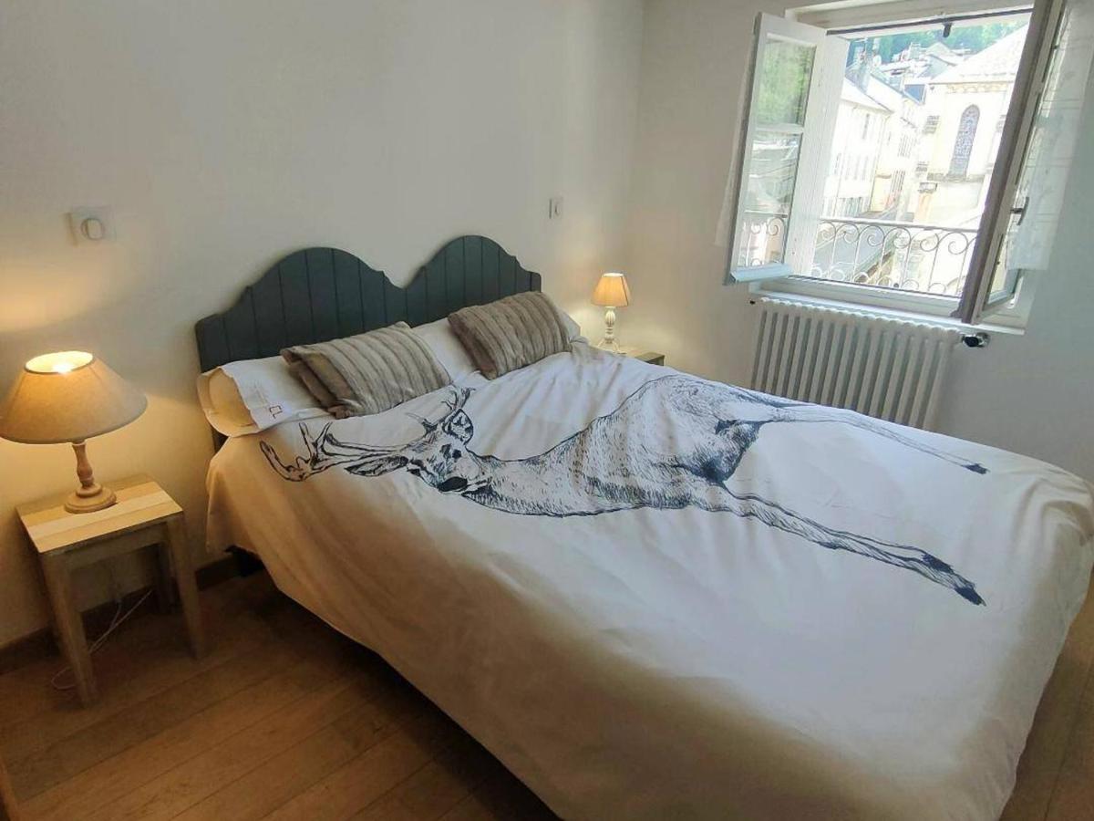Appartement 3 Pieces A Cauterets, Proche Thermes Et Telecabine, Avec Wifi Et Parking - Fr-1-234-144 Luaran gambar